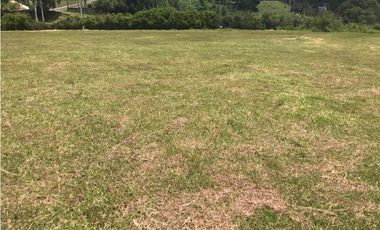 Venta Lote Uso Mixto Caldas con frente a la Variante y a la Vía Vieja
