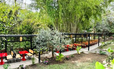 HOTEL -RESTAURANTE SALENTO  2694 M2 $2'300.000.000