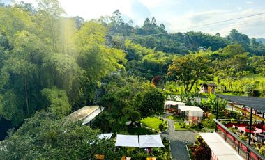 HOTEL -RESTAURANTE SALENTO  2694 M2 $2'300.000.000