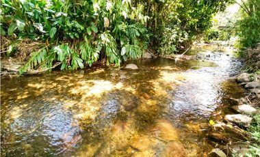 HOTEL -RESTAURANTE SALENTO  2694 M2 $2'300.000.000