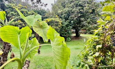 Casa en venta en Bogotá, Niza