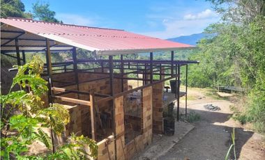 finca en anapoima cundinamarca ganga