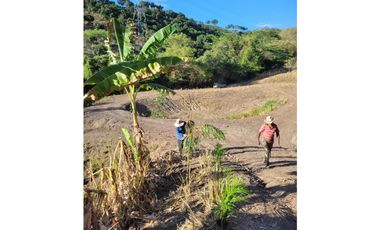 finca en anapoima cundinamarca ganga