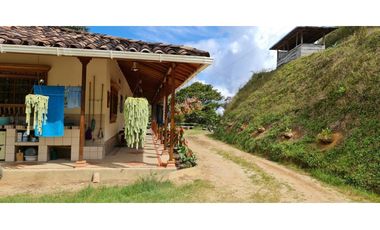 Venta de Finca Productiva en Santo Domingo Vereda Los Planes