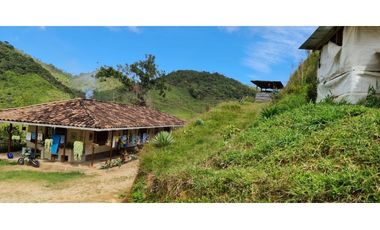 Venta de Finca Productiva en Santo Domingo Vereda Los Planes