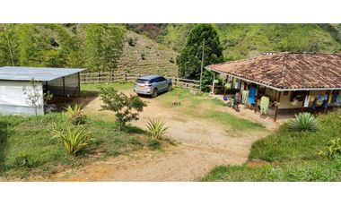 Venta de Finca Productiva en Santo Domingo Vereda Los Planes