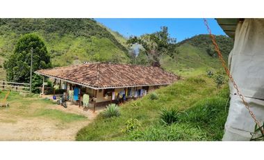 Venta de Finca Productiva en Santo Domingo Vereda Los Planes