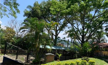 VENTA FINCA TMESIS, SUROESTE ANTIOQUEÑO