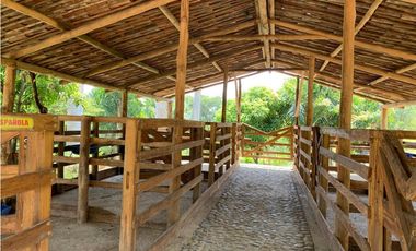 VENTA FINCA TMESIS, SUROESTE ANTIOQUEÑO