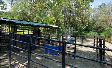 VENTA FINCA TMESIS, SUROESTE ANTIOQUEÑO