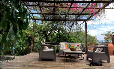 VENTA FINCA TMESIS, SUROESTE ANTIOQUEÑO