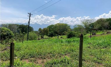 VENTA FINCA TMESIS, SUROESTE ANTIOQUEÑO