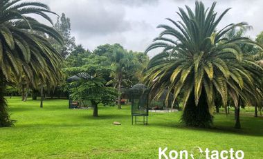 RANCHO EN VENTA EN TOTOLAPAN, MORELOS