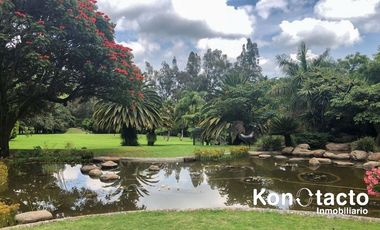 RANCHO EN VENTA EN TOTOLAPAN, MORELOS