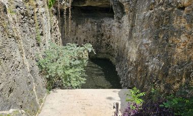 Quinta con 5.6 Hectareas y Cenote en Tekat