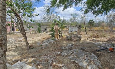 Quinta con 5.6 Hectareas y Cenote en Tekat