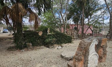 Quinta con 5.6 Hectareas y Cenote en Tekat