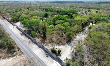 Quinta con 5.6 Hectareas y Cenote en Tekat