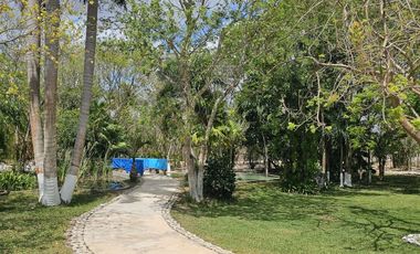 Quinta con 5.6 Hectareas y Cenote en Tekat