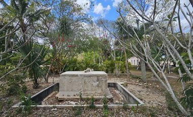 Quinta con 5.6 Hectareas y Cenote en Tekat