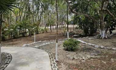 Quinta con 5.6 Hectareas y Cenote en Tekat