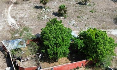 Quinta con 5.6 Hectareas y Cenote en Tekat