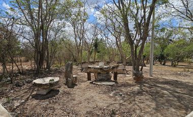 Quinta con 5.6 Hectareas y Cenote en Tekat