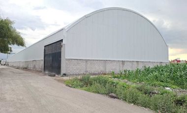 TOLUCA BODEGA INDUSTRIAL EN RENTA