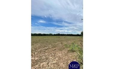 VENTA- CAMPO 258 HAS- TUCLAME