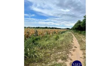 VENTA- CAMPO 258 HAS- TUCLAME