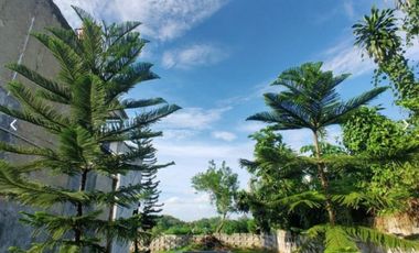 Rumah Murah 2 Lantai Dekat Stasiun Cilebut Bogor