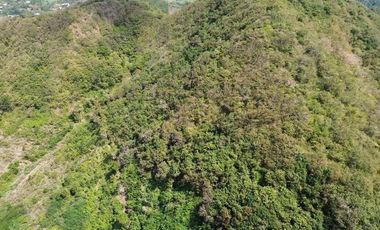 Tanah murah dekat pantai Mawun Lombok. Cocok untuk villa