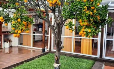 Casa en venta en Ranelagh Este