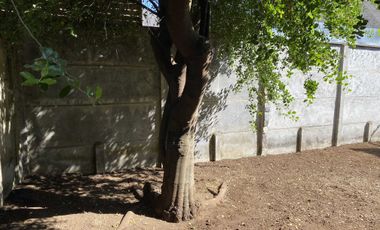 Casa en arriendo en LOS ANGELES