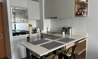 Se Arrienda lindo y  moderno Dpto 2D+1B Punta Llanquihue