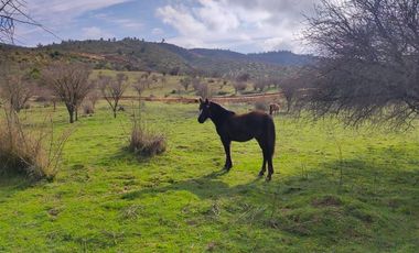 Parcela en Venta en L30M