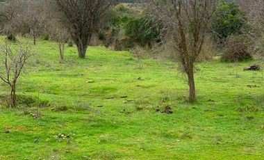 Parcela en Venta en L30M