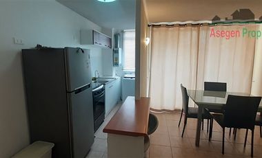 Departamento en Arriendo en Departamento Amoblado en arriendo en Condominio Doña Alejandrina. DISPONIBLE DESDE EL 01 DE AGOSTO 2025
