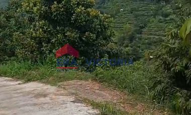 Jual Tanah Cocok Untuk Berkebun di Semen Kab Kediri