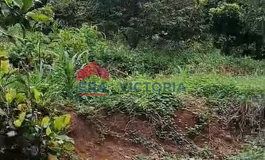 Jual Tanah Cocok Untuk Berkebun di Semen Kab Kediri