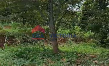 Jual Tanah Cocok Untuk Berkebun di Semen Kab Kediri