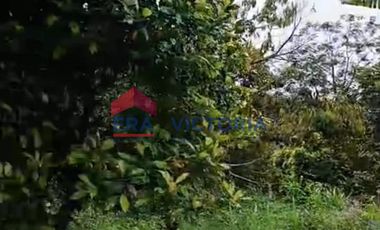 Jual Tanah Cocok Untuk Berkebun di Semen Kab Kediri