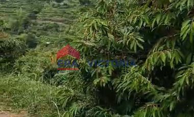 Jual Tanah Cocok Untuk Berkebun di Semen Kab Kediri