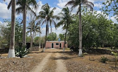 Quinta en venta con 5.6 Hectáreas de terreno y Cenote en Tekat, Yuc.