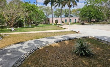 Quinta en venta con 5.6 Hectáreas de terreno y Cenote en Tekat, Yuc.