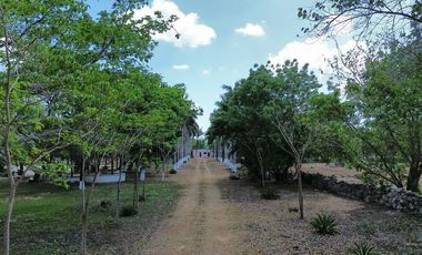 Quinta en venta con 5.6 Hectáreas de terreno y Cenote en Tekat, Yuc.