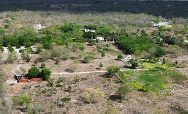 Quinta en venta con 5.6 Hectáreas de terreno y Cenote en Tekat, Yuc.