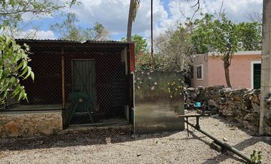 Quinta en venta con 5.6 Hectáreas de terreno y Cenote en Tekat, Yuc.