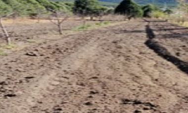 CASA CAMPESTRE EN VENTA PINOS ALTOS CARBONERA ARTEAGA COAHUILA