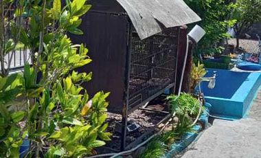 Rumah Dijual Dekat Kampus UNSRI Indralaya Ogan Ilir Palembang